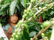 Se conmemora el Día Internacional contra el Trabajo Infantil