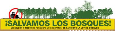 ¡Salvamos los bosques!