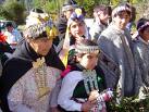 Policía de Investigaciones detuvo en provincia de Arauco a siete mapuches