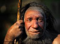 ¿Qué fue del Hombre de Neandertal?